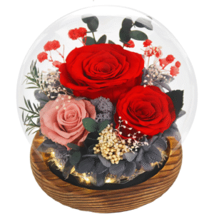 Preserved Forever Flowers in Glass