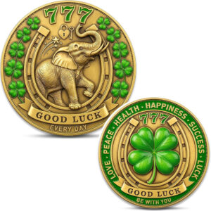 Good Luck Coin 2