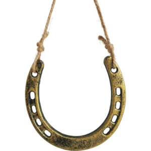 Good Lucky Horseshoe 3